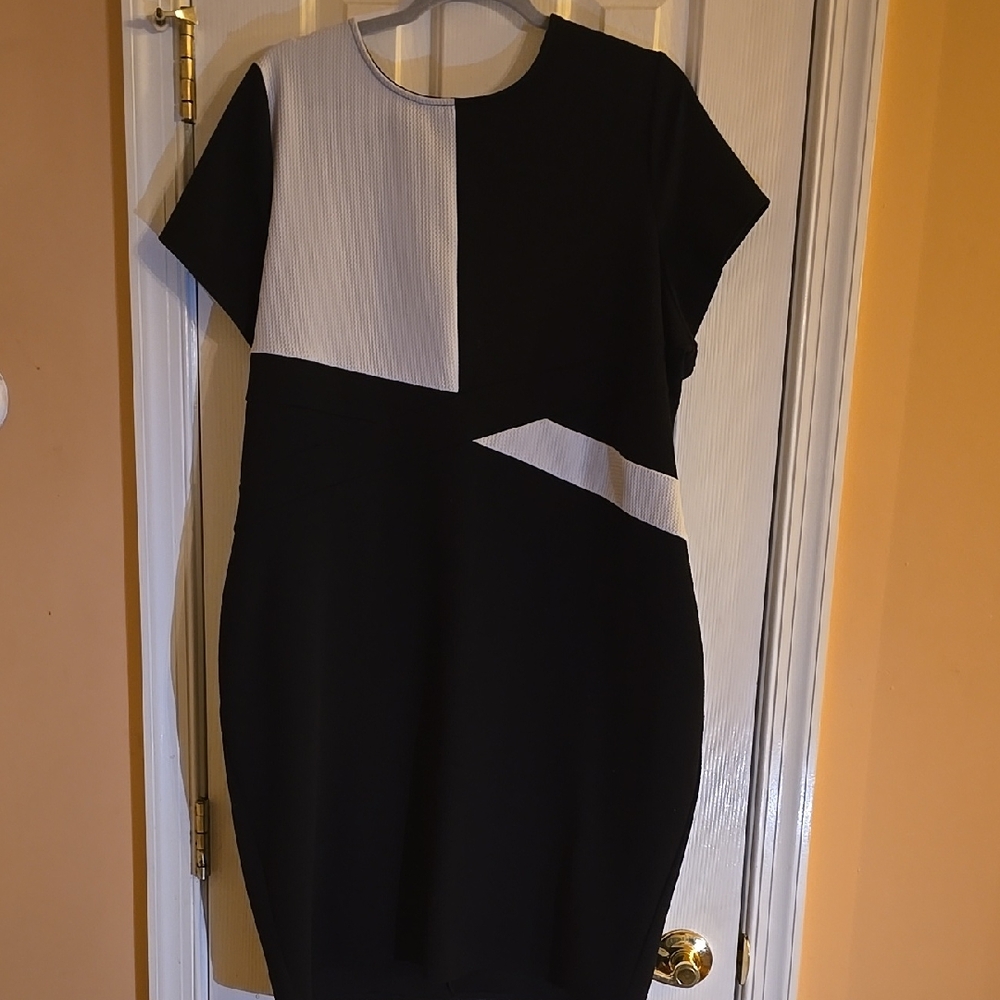 Fashion to Figure Black and White Mini Dress